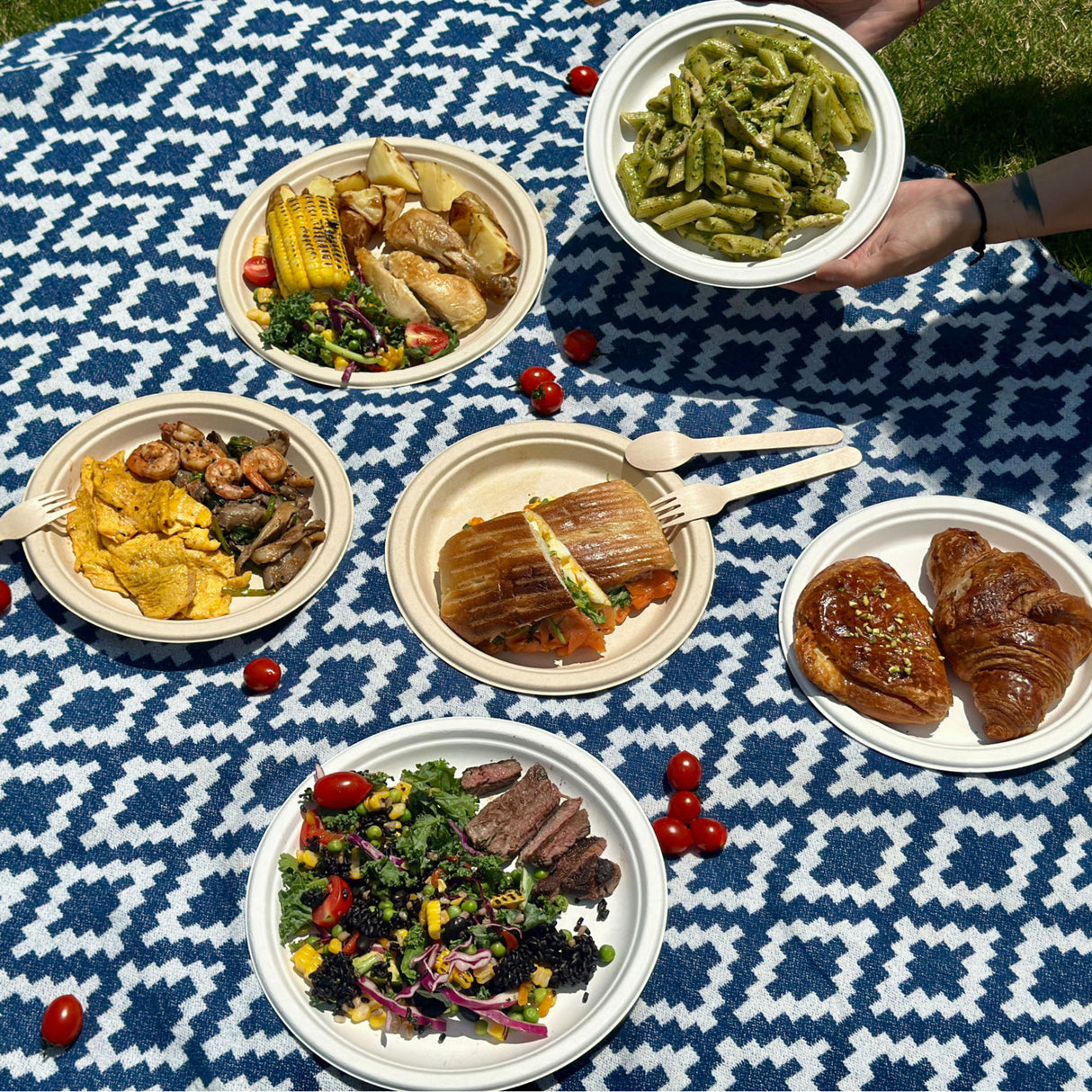 Fitsu Compostable Paper Plates 9 Inch Bulk Plates