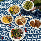Fitsu Compostable Paper Plates 9 Inch Bulk Plates